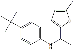 4-tert-butyl-N-[1-(5-methylfuran-2-yl)ethyl]aniline