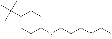 4-tert-butyl-N-[3-(propan-2-yloxy)propyl]cyclohexan-1-amine Structure