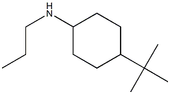 4-tert-butyl-N-propylcyclohexan-1-amine
