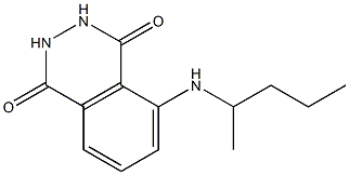 5-(pentan-2-ylamino)-1,2,3,4-tetrahydrophthalazine-1,4-dione Structure