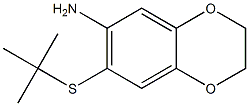 7-(tert-butylsulfanyl)-2,3-dihydro-1,4-benzodioxin-6-amine Structure