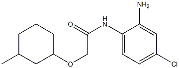 N-(2-amino-4-chlorophenyl)-2-[(3-methylcyclohexyl)oxy]acetamide Structure