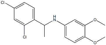 N-[1-(2,4-dichlorophenyl)ethyl]-3,4-dimethoxyaniline|