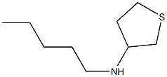 N-pentylthiolan-3-amine,,结构式