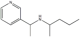 pentan-2-yl[1-(pyridin-3-yl)ethyl]amine|
