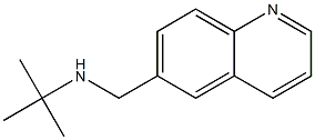 tert-butyl(quinolin-6-ylmethyl)amine Structure