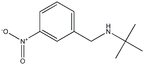 tert-butyl[(3-nitrophenyl)methyl]amine Struktur