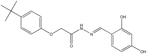 2-[4-(tert-butyl)phenoxy]-N'-[(E)-(2,4-dihydroxyphenyl)methylidene]acetohydrazide Structure