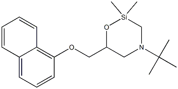 4-tert-Butyl-6-(1-naphtyl)oxymethyl-2,2-dimethyl-2-silamorpholine Struktur