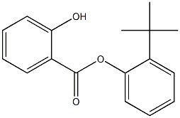 Salicylic acid 2-tert-butylphenyl ester Structure