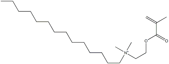 ジメチルテトラデシル[2-(メタクリロイルオキシ)エチル]アミニウム 化学構造式
