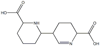 1,2,3,3',4,4',5,5',6,6'-デカヒドロ[2,3'-ビピリジン]-6,6'-ジカルボン酸 化学構造式