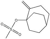 Methanesulfonic acid 2-methylenebicyclo[3.2.2]nonan-1-yl ester Struktur