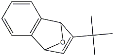 2-tert-Butyl-1,4-dihydro-1,4-epoxynaphthalene Struktur