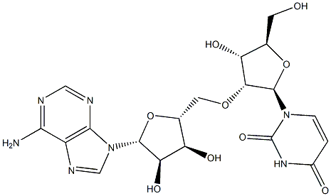 5'-O-(2'-Uridylyl)adenosine Struktur