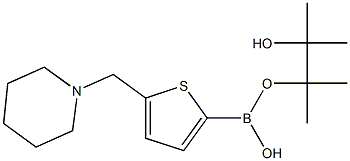 5-(哌啶基甲基)-2-噻吩硼酸频那醇酯, , 结构式