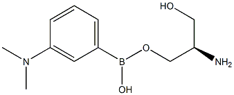 3-(N,N-二甲氨基)苯硼酸频呐醇酯, , 结构式