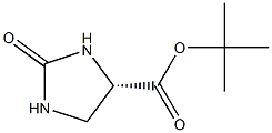 (4S)-2-oxo-Imidazolidine-4-carboxylic 
acid t-butyl ester Structure