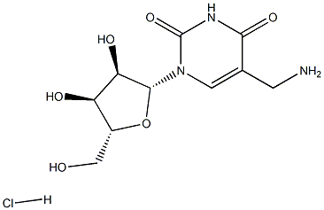 5-Aminomethyl uridine hydrochloride Struktur