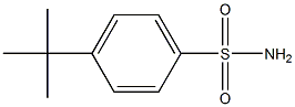 P-tert-butylbenzenesulfonamide Struktur