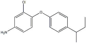 4-[4-(SEC-BUTYL)PHENOXY]-3-CHLOROPHENYLAMINE Structure