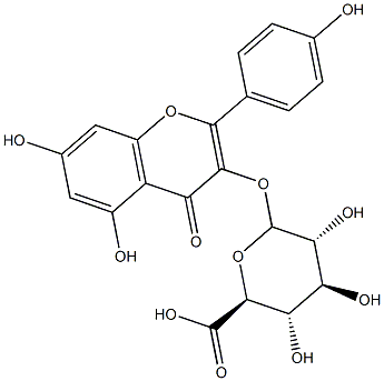 kaempferol-O-glucuronide 化学構造式