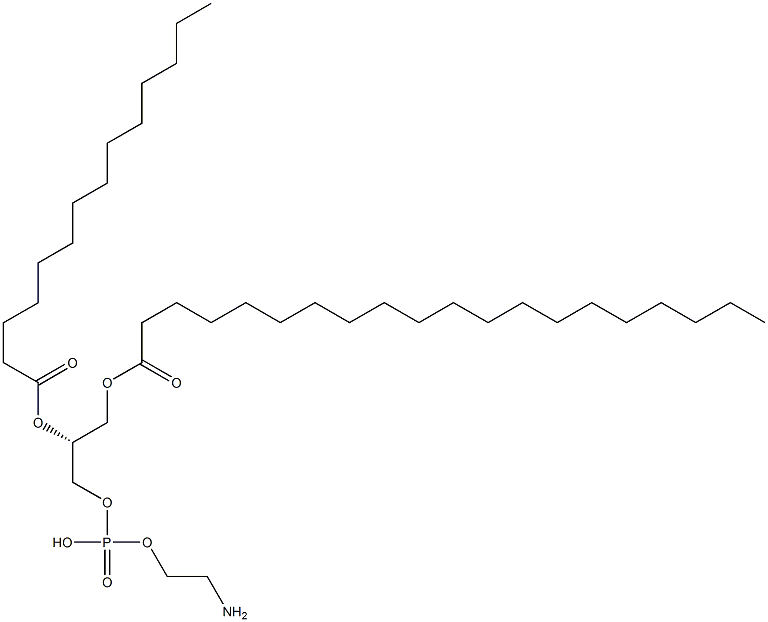 1-eicosanoyl-2-tetradecanoyl-sn-glycero-3-phosphoethanolamine