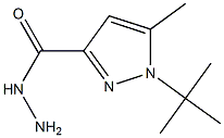 1-tert-Butyl-5-methyl-1H-pyrazole-3-carbohydrazide 97% Structure