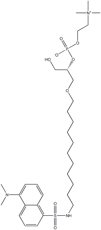 1-(O-(11-(5-dimethylaminonaphthalenesulfonyl)amino)undecyl)-sn-glycero-3-phosphocholine