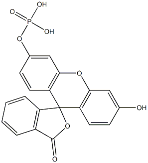 fluorescein monophosphate Struktur