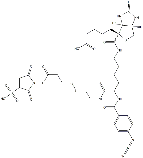 sulfosuccinimidyl 3-((2-(6-(biotinamido)-2-(4-azidobenzamido)hexanamido)ethyl)dithio)propionate