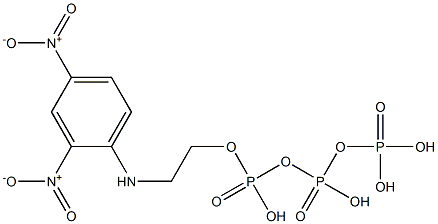 2-((2,4-dinitrophenyl)amino)ethyl triphosphate