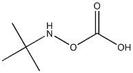 tert-butylaminocarbonate