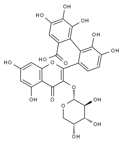 QUERCETIN3-O-ALPHA-ARABINOPYRANOSIDE-2'-GALLATE