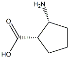 (1S,2R)-2-amino-cyclopentanecarboxylic acid|