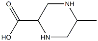 2-METHYL-5-PIPERAZINECARBOXYLIC ACID