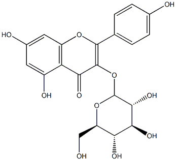 KAEMPFEROL-3-GLUCOSIDE 97 %|
