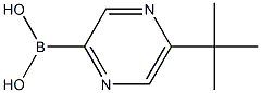 5-(TERT-BUTYL)PYRAZINE-2-BORONIC ACID Struktur