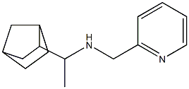 (1-{bicyclo[2.2.1]heptan-2-yl}ethyl)(pyridin-2-ylmethyl)amine Struktur