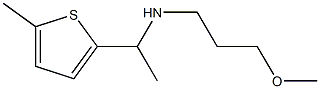 (3-methoxypropyl)[1-(5-methylthiophen-2-yl)ethyl]amine Struktur