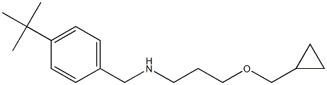 [(4-tert-butylphenyl)methyl][3-(cyclopropylmethoxy)propyl]amine Struktur