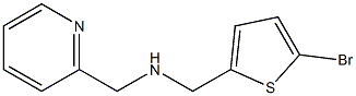 [(5-bromothiophen-2-yl)methyl](pyridin-2-ylmethyl)amine Struktur