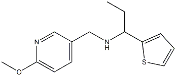 [(6-methoxypyridin-3-yl)methyl][1-(thiophen-2-yl)propyl]amine