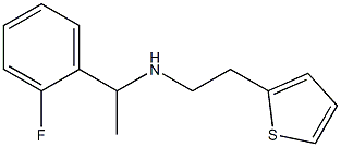 [1-(2-fluorophenyl)ethyl][2-(thiophen-2-yl)ethyl]amine
