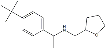 [1-(4-tert-butylphenyl)ethyl](oxolan-2-ylmethyl)amine Struktur