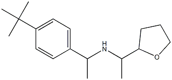 [1-(4-tert-butylphenyl)ethyl][1-(oxolan-2-yl)ethyl]amine 结构式