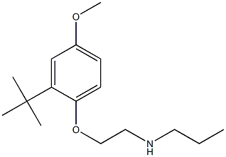 [2-(2-tert-butyl-4-methoxyphenoxy)ethyl](propyl)amine Structure