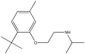 [2-(2-tert-butyl-5-methylphenoxy)ethyl](propan-2-yl)amine Struktur