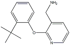 [2-(2-tert-butylphenoxy)pyridin-3-yl]methylamine Structure