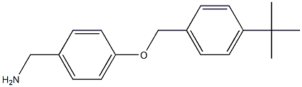 {4-[(4-tert-butylphenyl)methoxy]phenyl}methanamine Struktur